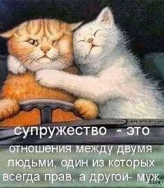 Мысль-6