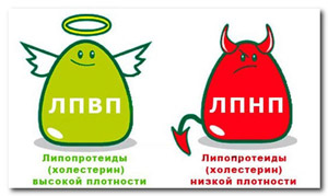 Как снизить холестерин